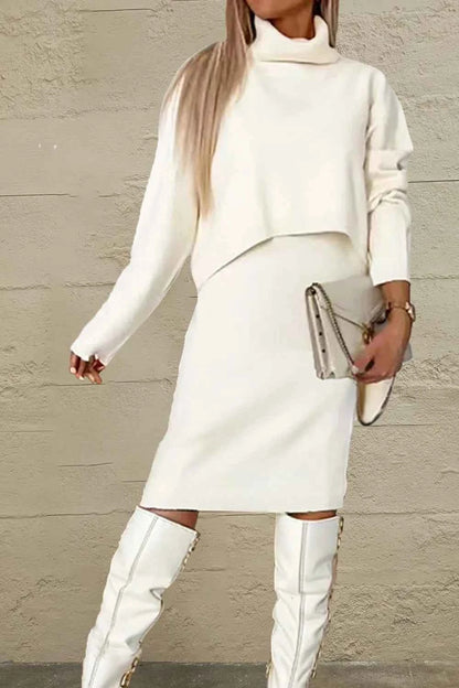Turtleneck Dropped Shoulder Sweater and Dress Sweater Set
